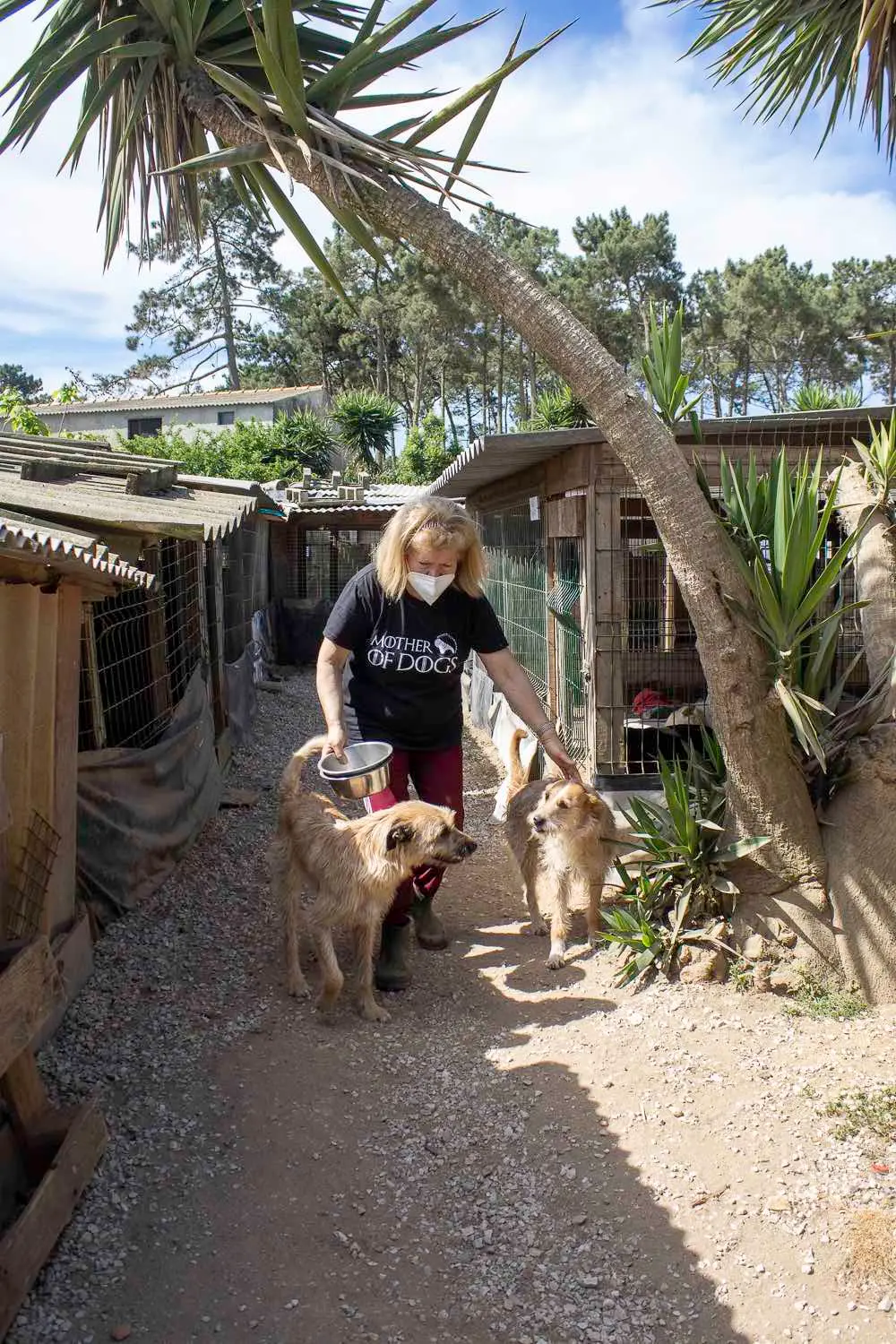 Fotografia Canil da Aroeira